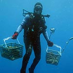 grégory lasne gérant de Biocénose